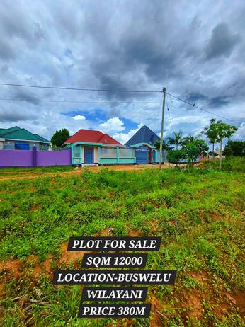 Residential Plot for Sale in Buswelu, Mwanza (12000 sqm)
