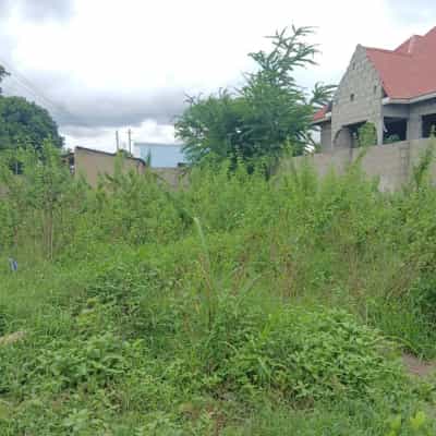 Kiwanja (Residential/Commercial) kinauzwa Tabata Kinyerezi Mbuyuni, Dar Es Salaam (350 sqm)