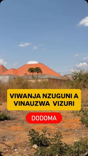 Residential Plot for Sale in Nzuguni A Ushwani, Dodoma (600 sqm) Residential Plot for Sale in Nzuguni A Ushwani, Dodoma (600 sqm)
