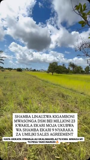 Farm for sale in Mwasonga, Kigamboni, Dar Es Salaam acre 9 Farm for sale in Mwasonga, Kigamboni, Dar Es Salaam acre 9