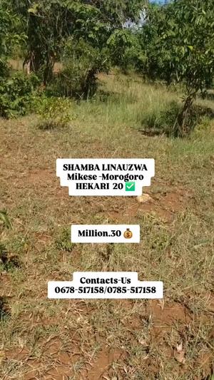 Farm for Sale in Mikese, Morogoro