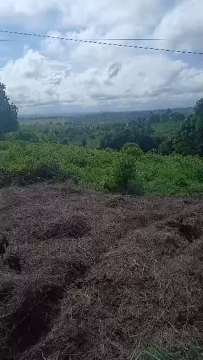 Plot for sale in Mkuranga, Pwani