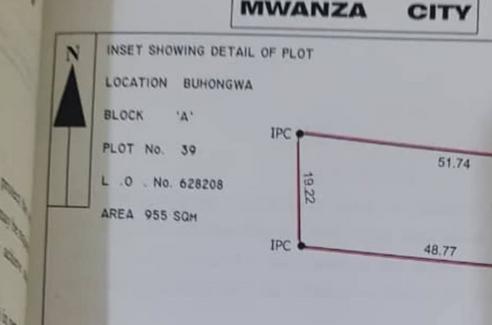 Kiwanja kinauzwa Buhongwa Musabe, Mwanza sqm 1966 Kiwanja kinauzwa Buhongwa Musabe, Mwanza sqm 1966