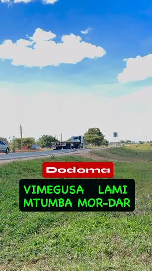 Viwanja vinauzwa Mtumba, Dodoma Viwanja vinauzwa Mtumba, Dodoma
