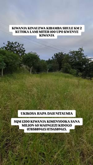 Residential Plot for Sale in Kibamba, Dar Es Salaam (1200 sqm)