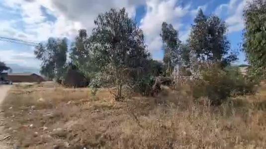 Residential Plot for Sale in Isyesye, Mbeya (2400 sqm) Residential Plot for Sale in Isyesye, Mbeya (2400 sqm)