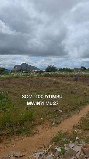 Kiwanja kinauzwa Iyumbu, Dodoma sqm 1100