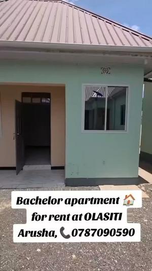 1 Bedroom Apartment for Rent in Olasiti, Arusha