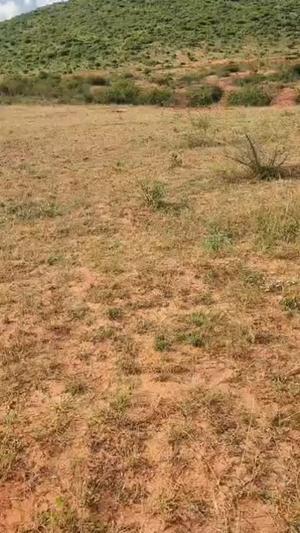 Mashamba yanauzwa Mvumi, Morogoro (7 acre)