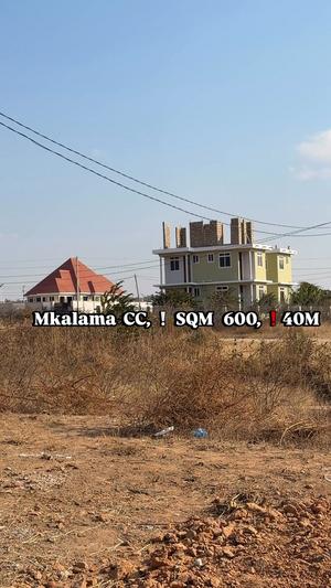 Kiwanja kinauzwa Makulu Mkalama Ushuani, Dodoma (600 sqm)