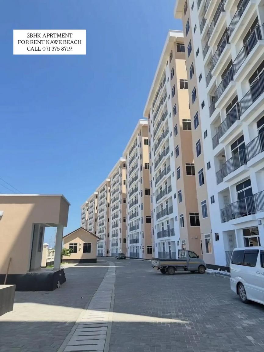 media -1 media -1