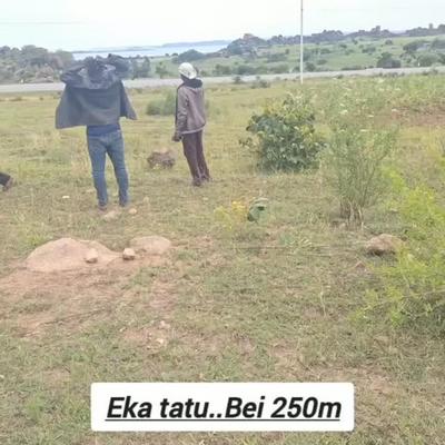 Plot for sale in Busisi, Mwanza acre 3 Plot for sale in Busisi, Mwanza acre 3