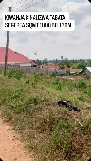 Residential Plot for Sale in Tabata Segerea Mwisho, Dar Es Salaam (1000 sqm) Residential Plot for Sale in Tabata Segerea Mwisho, Dar Es Salaam (1000 sqm)