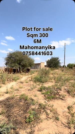 Kiwanja kinauzwa Mahomanyika, Dodoma (300 sqm) Kiwanja kinauzwa Mahomanyika, Dodoma (300 sqm)