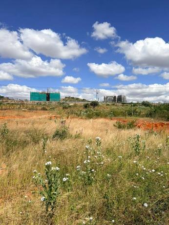 Kiwanja kinauzwa Kisasa Mwangaza, Dodoma sqm 2500