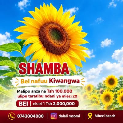 Farms for Sale in Kiwangwa, Pwani