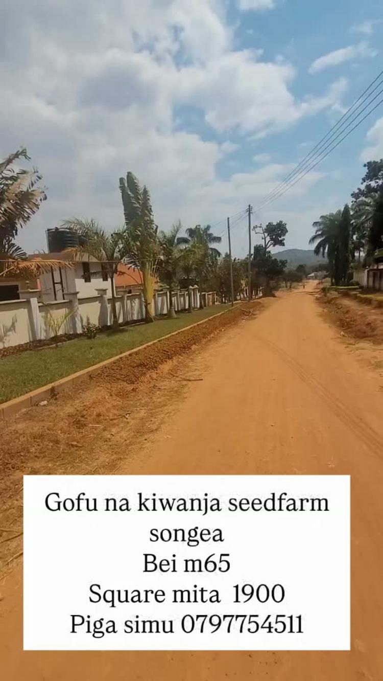 media -1 media -1