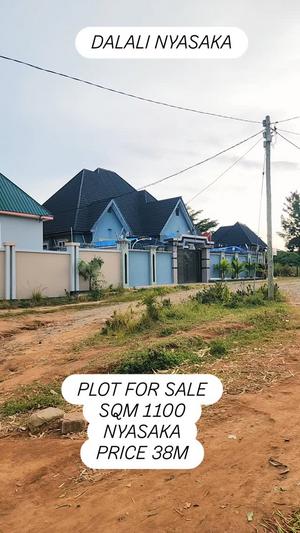 Residential Plot for Sale in Nyasaka, Mwanza (1100 sqm)