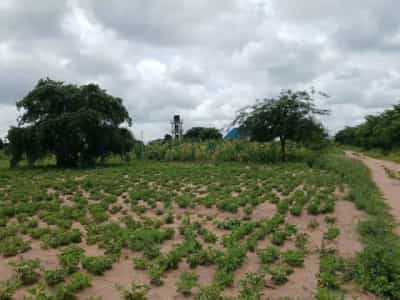 Viwanja vinauzwa Nala Mizani, Dodoma (530 sqm)