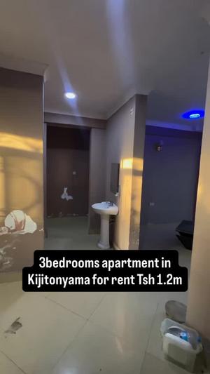 2 Bedrooms Apartment for Rent in Kijitonyama, Dar Es Salaam