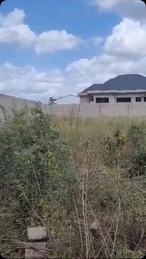 Kiwanja kinauzwa Kigamboni Kisota, Dar Es Salaam (1000 sqm) Kiwanja kinauzwa Kigamboni Kisota, Dar Es Salaam (1000 sqm)