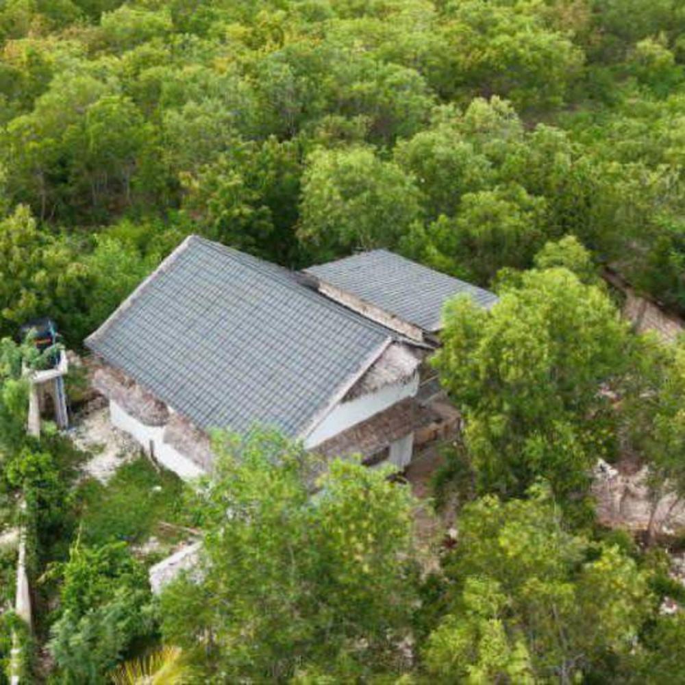 media -8 media -8