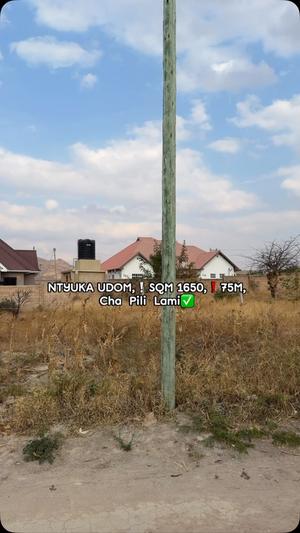 Kiwanja kinauzwa Ntyuka UDOM - USHUANI, Dodoma (1650 sqm) Kiwanja kinauzwa Ntyuka UDOM - USHUANI, Dodoma (1650 sqm)