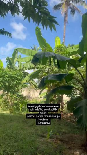 House for Rent in Mbezi Makabe, Dar Es Salaam