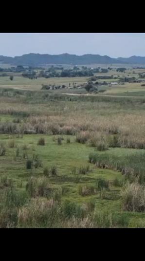 Shamba linauzwa Sengerema Busisi, Mwanza (60 acre) Shamba linauzwa Sengerema Busisi, Mwanza (60 acre)