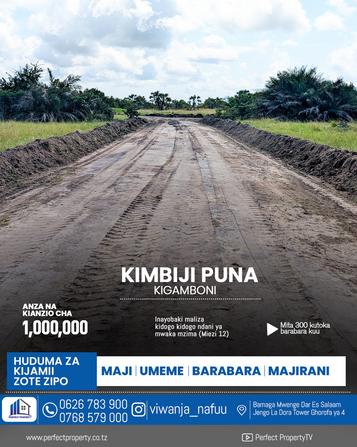 Residential Plots for Sale in Kigamboni Kimbiji Puna, Dar Es Salaam