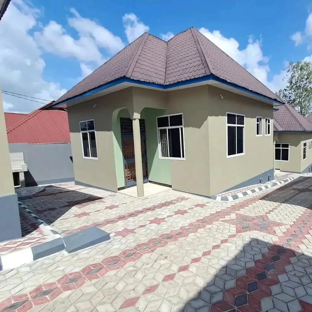 media -8