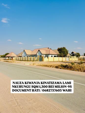 Kiwanja kinauzwa Nkuhungu, Dodoma (1300 sqm)
