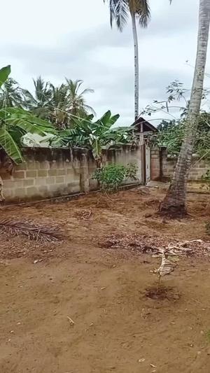 Nyumba ya chumba kimoja inapangishwa Kibaha Mfipa, Pwani Nyumba ya chumba kimoja inapangishwa Kibaha Mfipa, Pwani