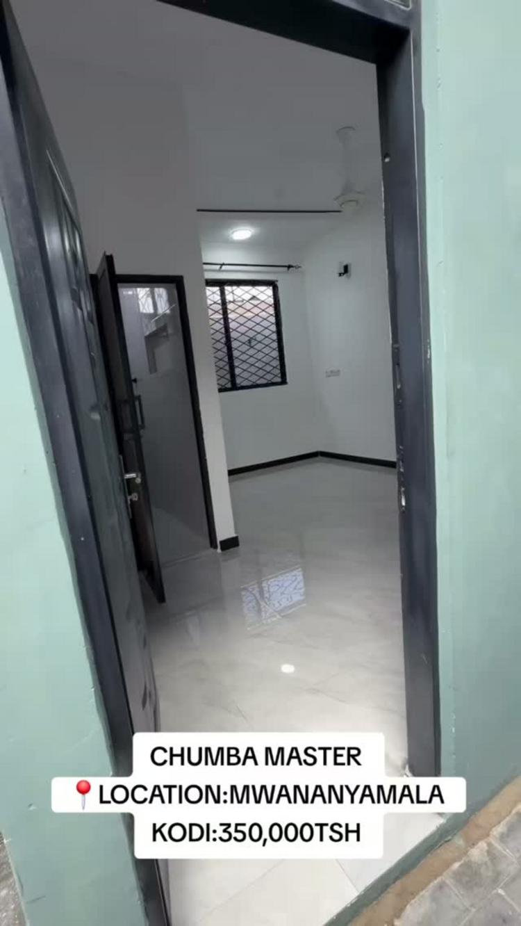 media -1 media -1