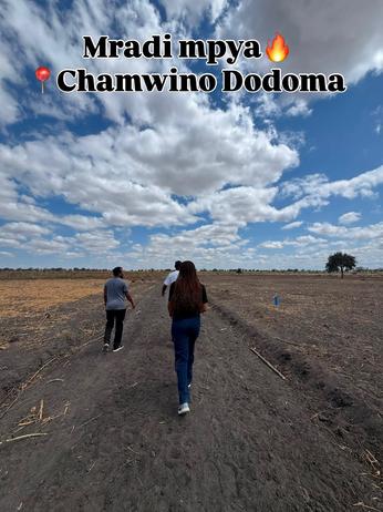 Viwanja vinauzwa Chamwino, Dodoma sqm 400 Viwanja vinauzwa Chamwino, Dodoma sqm 400