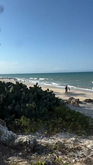 Beach Plot kinauzwa Bahari Beach, Dar Es Salaam (8000 sqm) Beach Plot kinauzwa Bahari Beach, Dar Es Salaam (8000 sqm)