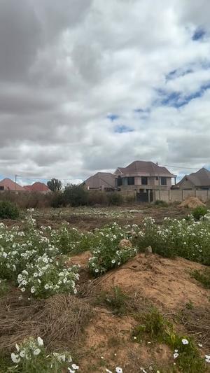 Kiwanja kinauzwa Iyumbu Extension, Dodoma sqm 919
