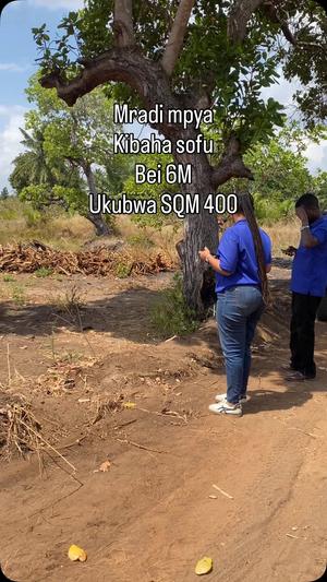 Viwanja vinauzwa Soga, Pwani