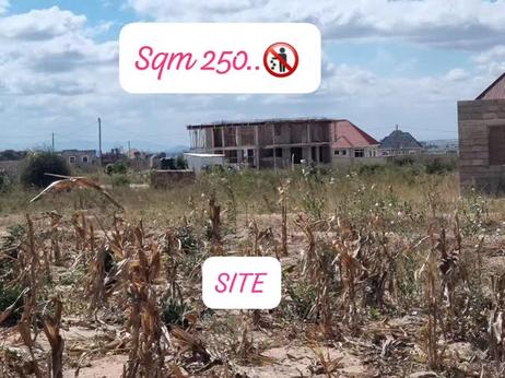 Kiwanja kinauzwa Iyumbu, Dodoma (250 sqm) Kiwanja kinauzwa Iyumbu, Dodoma (250 sqm)