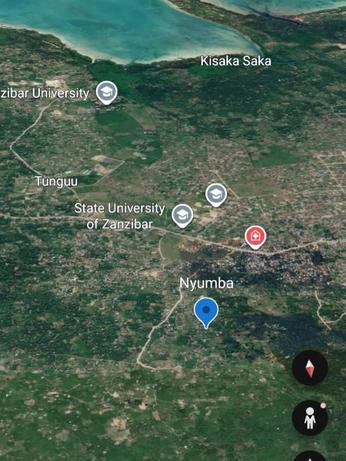 Nyumba ya vyumba viwili inauzwa Jumbi Mkorogo, Zanzibar - Unguja South (2838 sqm)