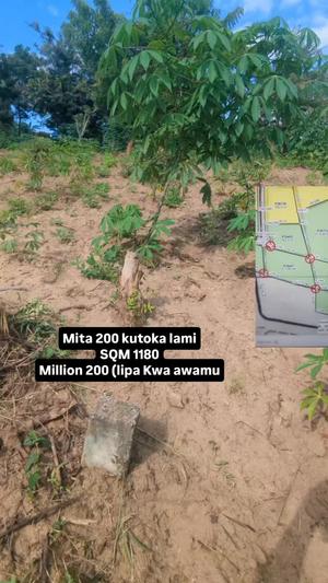 Kiwanja kinauzwa Goba Kulangwa, Dar Es Salaam (1180 sqm)