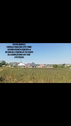 Viwanja vinauzwa Kishiri, Mwanza sqm 950 Viwanja vinauzwa Kishiri, Mwanza sqm 950