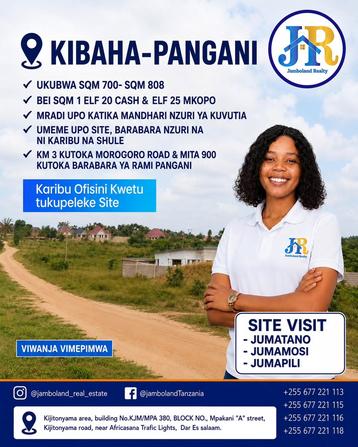 Plots for sale in Kibaha Pangani, Pwani sqm 700 Plots for sale in Kibaha Pangani, Pwani sqm 700