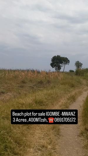 Beach Plot kinauzwa Igombe, Mwanza (3 acre) Beach Plot kinauzwa Igombe, Mwanza (3 acre)