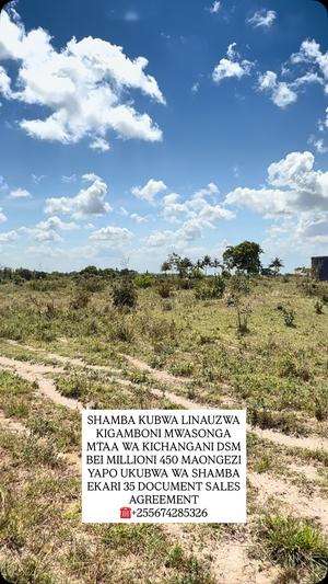 Shamba linauzwa Kigamboni Mwasonge, Dar Es Salaam (35 acre) Shamba linauzwa Kigamboni Mwasonge, Dar Es Salaam (35 acre)