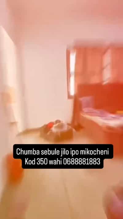 1 Bedroom House for Rent in Mikocheni, Dar Es Salaam