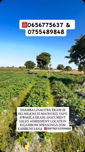 Farm for Sale in Mwasonga, Dar Es Salaam (28 acre)