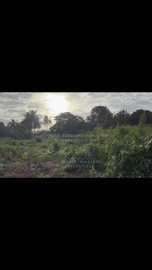 Plot for sale in Mangapwani, Zanzibar - Unguja North sqm 4500 Plot for sale in Mangapwani, Zanzibar - Unguja North sqm 4500