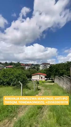 Plot for sale in Makongo, Dar Es Salaam sqm 700