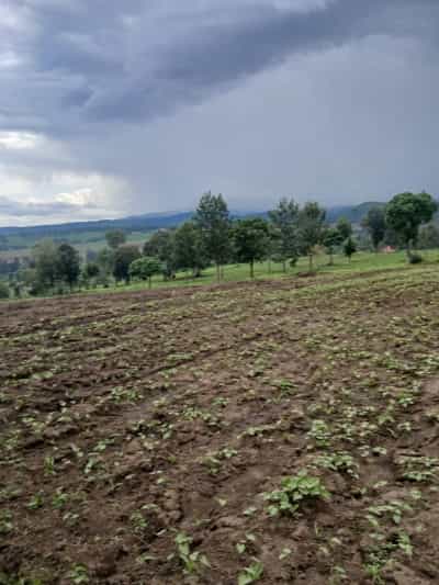 Kiwanja kinauzwa Ngaramtoni, Arusha (1000 sqm)